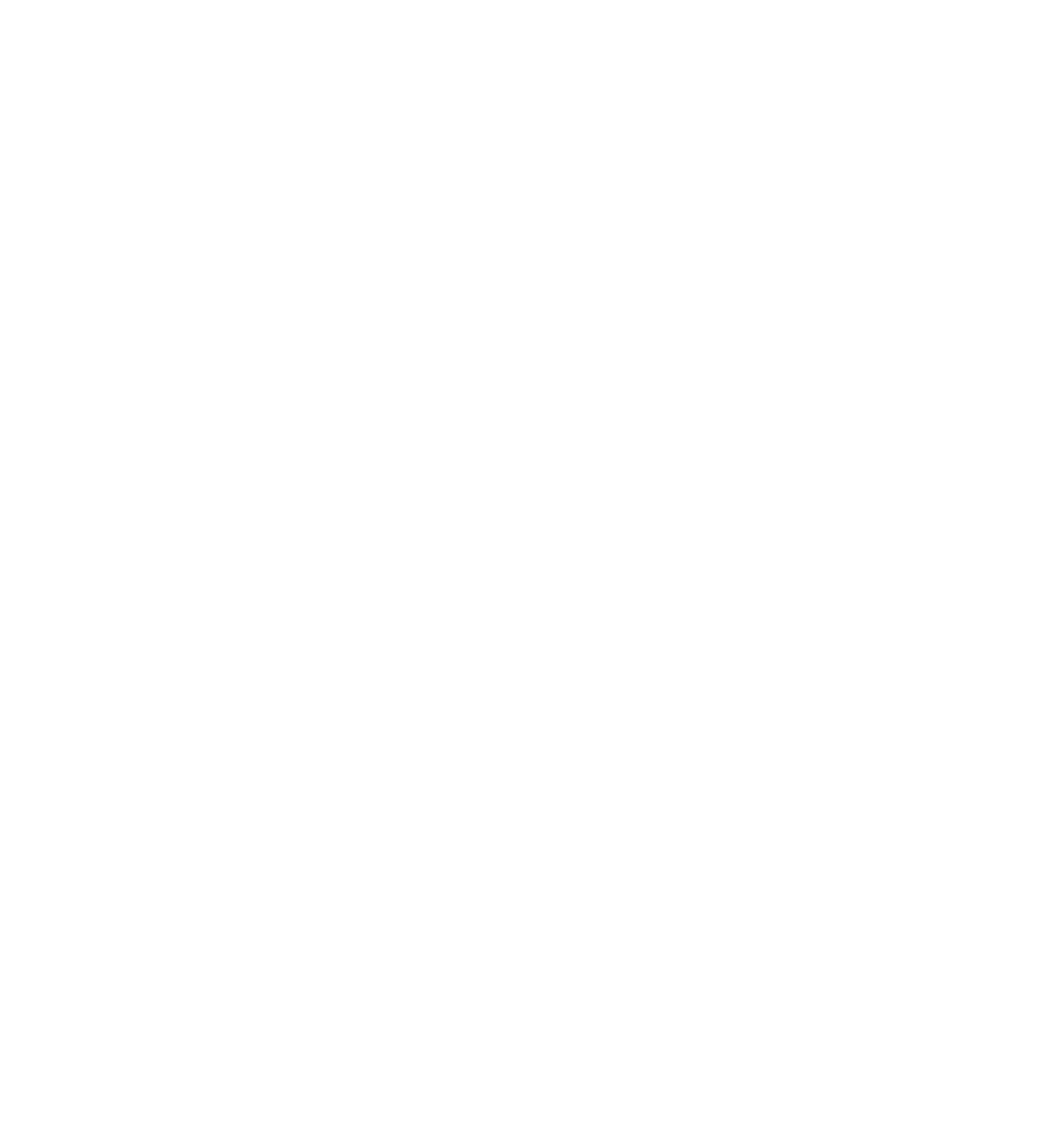 Born in the bayou main logo-White Transparent 4-01